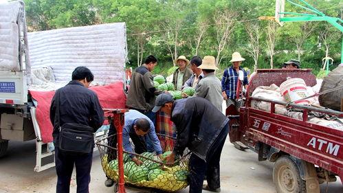 吃瓜群众岱岱身份,网络红人的崛起之路