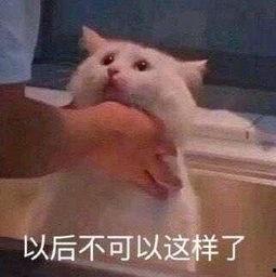 朝阳群众吃瓜测试