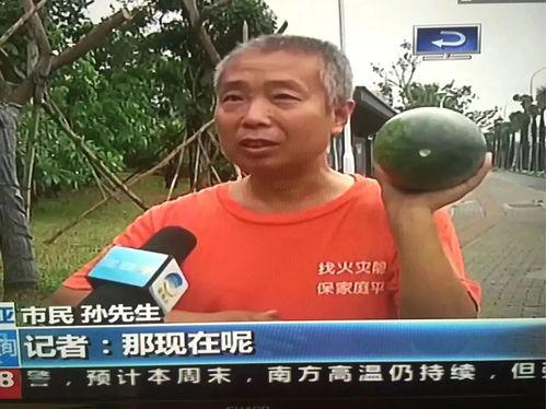 吃瓜群众被抓事件,揭秘网络围观背后的法律边界