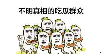最新一期吃瓜群众新闻,揭秘娱乐圈最新热点事件