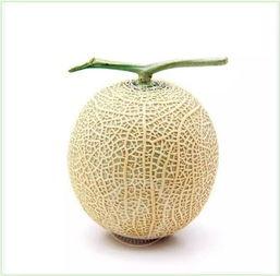 神奈川 吃瓜群众是谁,揭秘“吃瓜群众”背后的故事