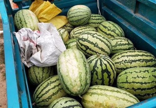 51cg4吃瓜群众网,揭秘娱乐圈幕后故事，带你领略真实娱乐圈