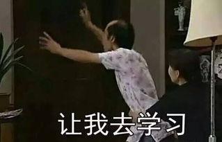 12星座吃瓜群众,揭秘星座背后的八卦风云