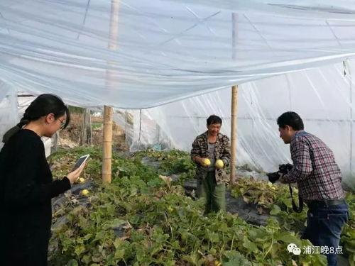 西城区吃瓜群众活动中心,打造社区文化交流新阵地